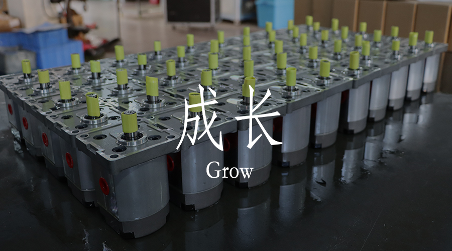 NNT：聚焦團(tuán)隊(duì)建設(shè)，促使專業(yè)成長(zhǎng)